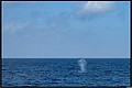 2026_04_20_11_49_01-border.jpg