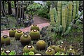 2026_04_22_12_50_01-border.jpg
