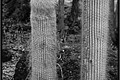 2026_04_22_12_56_01-2-border.jpg