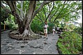 2026_04_22_12_58_01-border.jpg